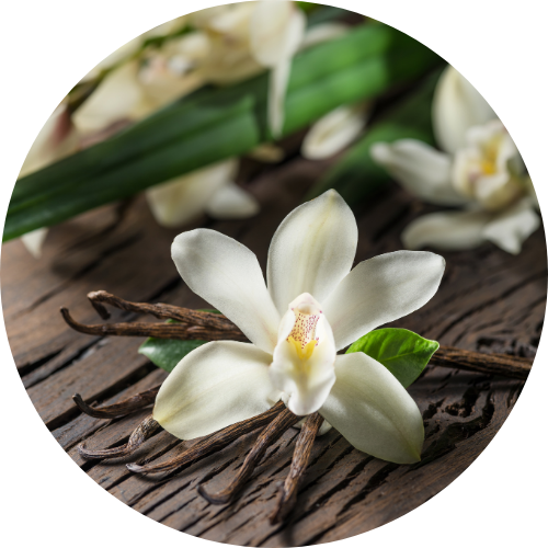 Vanilla