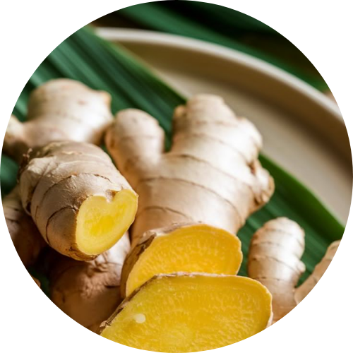 Gừng